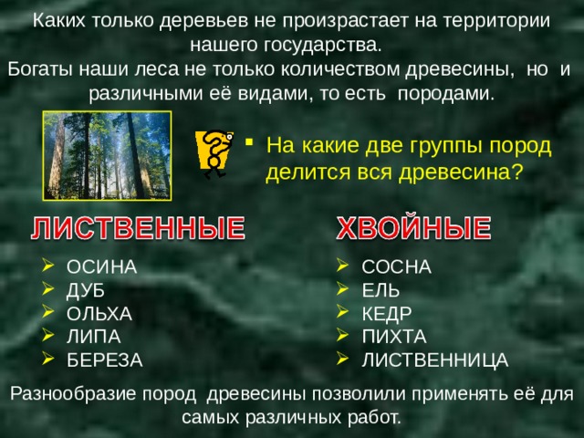 Каких только деревьев не произрастает на территории нашего государства. Богаты наши леса не только количеством древесины, но и различными её видами, то есть породами. На какие две группы пород делится вся древесина?  ОСИНА  ДУБ  ОЛЬХА  ЛИПА  БЕРЕЗА  СОСНА  ЕЛЬ  КЕДР  ПИХТА  ЛИСТВЕННИЦА Разнообразие пород древесины позволили применять её для самых различных работ. 