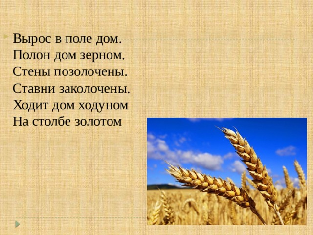 Вырос в поле дом.  Полон дом зерном.   Стены позолочены.   Ставни заколочены.   Ходит дом ходуном   На столбе золотом   