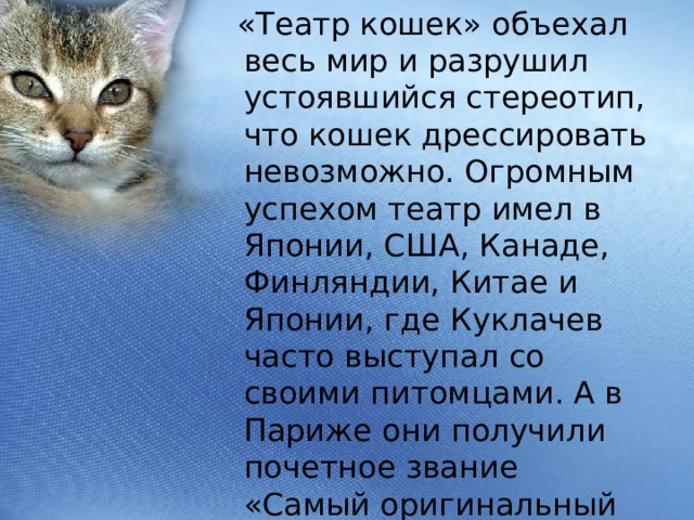 Презентация дрессировка кошек