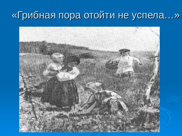 «Грибная пора отойти не успела…» 