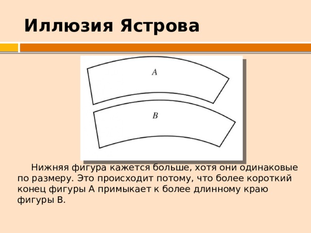 Иллюзия Ястрова  Нижняя фигура кажется больше, хотя они одинаковые по размеру. Это происходит потому, что более короткий конец фигуры А примыкает к более длинному краю фигуры В. 