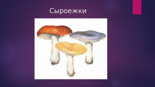 Сыроежки  