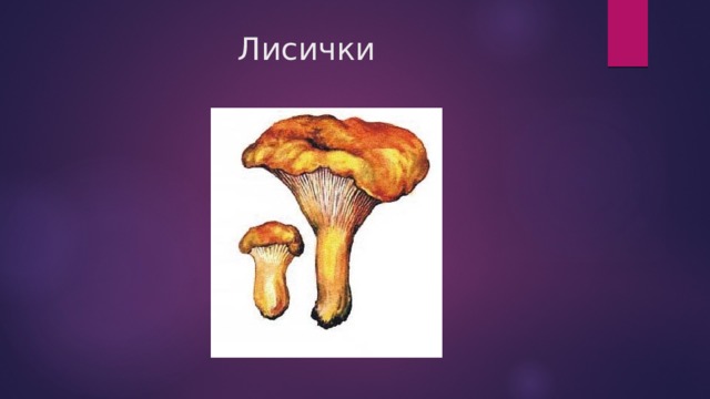 Лисички 