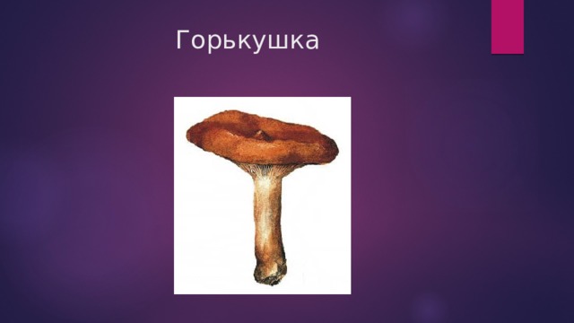 Горькушка 