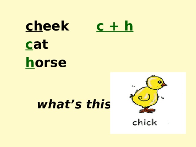  ch eek c + h  c at  h orse  what’s this? 
