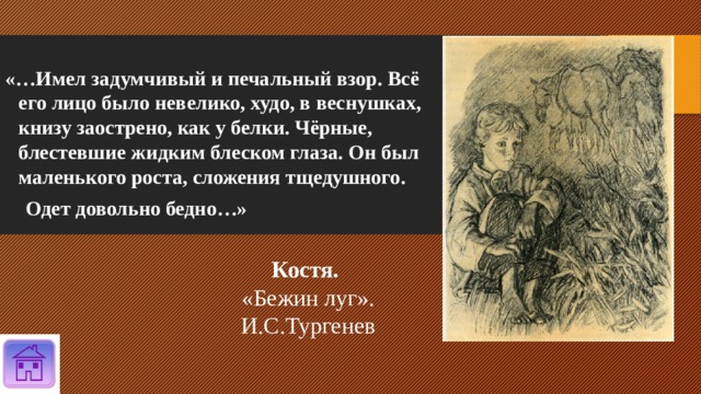 «…Имел задумчивый и печальный взор. Всё его лицо было невелико, худо, в веснушках, книзу заострено, как у белки. Чёрные, блестевшие жидким блеском глаза. Он был маленького роста, сложения тщедушного.  Одет довольно бедно…» Костя.  «Бежин луг». И.С.Тургенев 