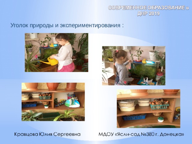  Уголок природы и экспериментирования : 