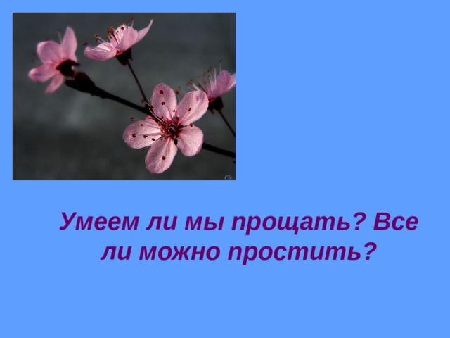 Умеем ли мы прощать? Все ли можно простить?