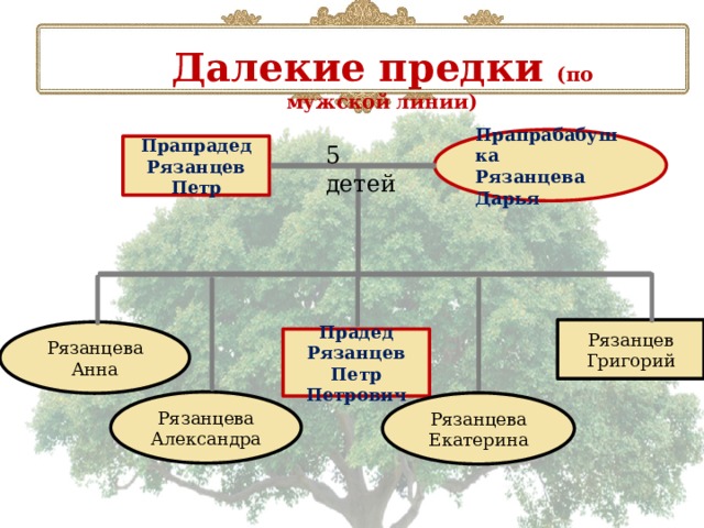 Далекие предки (по мужской линии) Прапрабабушка Рязанцева Дарья 5 детей Прапрадед Рязанцев Петр Рязанцев Григорий Рязанцева Анна Прадед Рязанцев Петр Петрович Рязанцева Александра Рязанцева Екатерина