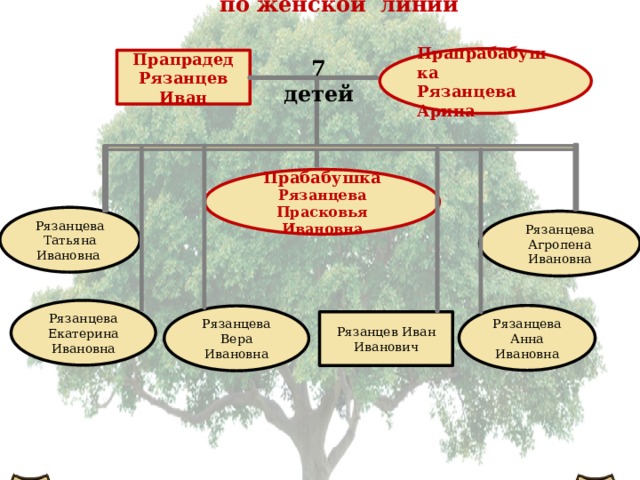 по женской линии Прапрабабушка Рязанцева Арина Прапрадед Рязанцев Иван 7 детей Прабабушка Рязанцева Прасковья Ивановна Рязанцева Татьяна Ивановна Рязанцева Агропена Ивановна Рязанцева Екатерина Ивановна Рязанцева Анна Ивановна Рязанцева Вера Ивановна Рязанцев Иван Иванович
