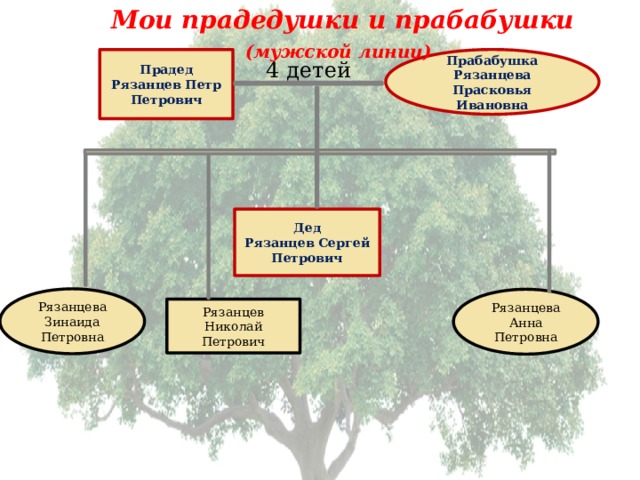 Мои прадедушки и прабабушки (мужской линии)  Прадед Прабабушка Рязанцева Прасковья Ивановна Рязанцев Петр Петрович 4 детей Дед Рязанцев Сергей Петрович Рязанцева Зинаида Петровна Рязанцева Анна Петровна Рязанцев Николай Петрович