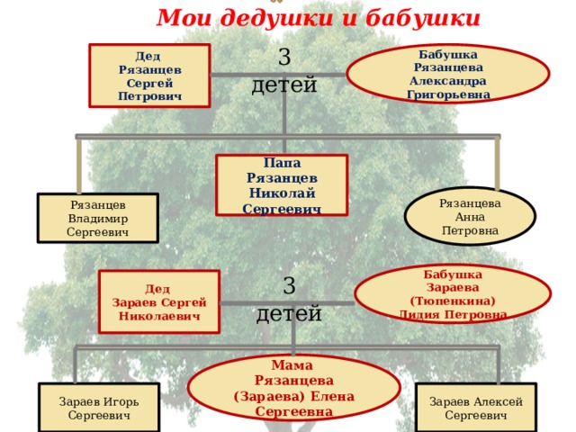 Мои дедушки и бабушки  3 детей Дед Бабушка Рязанцева Александра Григорьевна Рязанцев Сергей Петрович Папа Рязанцев Николай Сергеевич Рязанцева Анна Петровна Рязанцев Владимир Сергеевич Бабушка Зараева (Тюпенкина) Лидия Петровна 3 детей Дед Зараев Сергей Николаевич Мама Рязанцева (Зараева) Елена Сергеевна Зараев Игорь Сергеевич Зараев Алексей Сергеевич