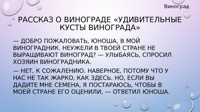 Виноград Рассказ о винограде «удивительные кусты винограда»  — Добро пожаловать, юноша, в мой виноградник. Неужели в твоей стране не выращивают виноград? — улыбаясь, спросил хозяин виноградника.  — Нет, к сожалению. Наверное, потому что у нас не так жарко, как здесь. Но, если вы дадите мне семена, я постараюсь, чтобы в моей стране его оценили, — ответил юноша.   