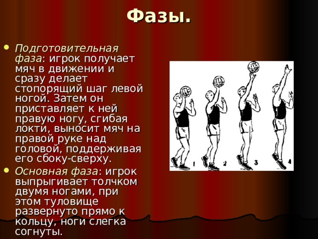 Фазы. Подготовительная фаза : игрок получает мяч в движении и сразу делает стопорящий шаг левой ногой. Затем он приставляет к ней правую ногу, сгибая локти, выносит мяч на правой руке над головой, поддерживая его сбоку-сверху. Основная фаза : игрок выпрыгивает толчком двумя ногами, при этом туловище развернуто прямо к кольцу, ноги слегка согнуты. 