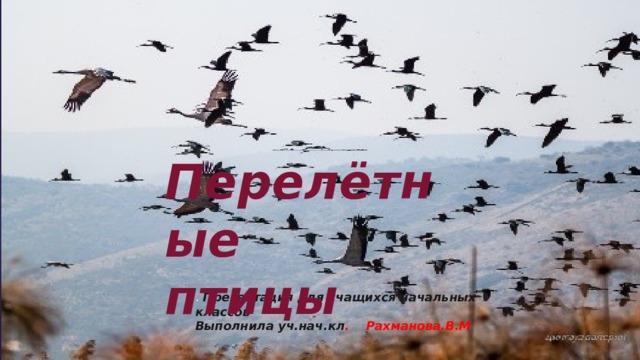 Перелётные птицы Перелётные птицы Презентация для учащихся 1 класса. Выполнила Рахманова Виалета Мизамудиновна . Презентация для учащихся начальных классов Выполнила уч.нач.кл . Рахманова.В.М : 