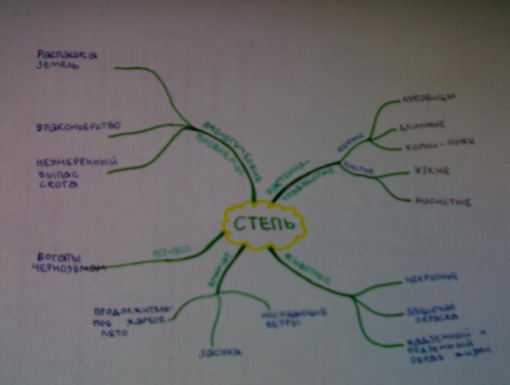 Ментальная карта по географии 6 класс