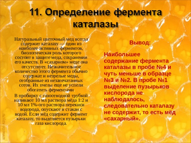 Натуральный цветочный мед всегда содержит каталазу — один из наиболее активных ферментов, биологическая роль которого состоит в защите меда, сохранении его качеств. В «сахарном» меде она отсутствует. Незначительное количество этого фермента обычно содержат и незрелые меды, отобранные из незапечатанных сотов. Их пчелы еще не успели обогатить ферментами . В пробирку с газоотводной трубкой наливают 10 мл раствора мёда 1:2 и 10 мл 1%-ого раствора перекиси водорода, опускают в стакан с водой. Если мёд содержит фермент каталазу, то выделяется пузырьки газа кислорода. Вывод: Наибольшее содержание фермента каталазы в пробе №4 и чуть меньше в образце №3 и №2. В пробе №1 выделение пузырьков кислорода не наблюдалось, следовательно каталазу не содержит, то есть мёд «сахарный».