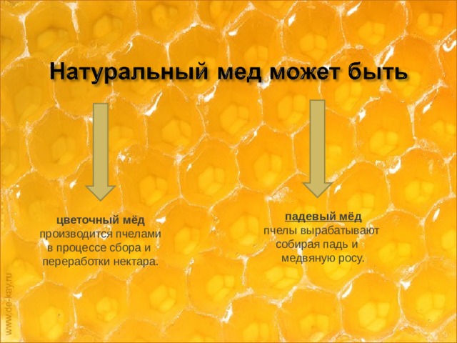падевый мёд пчелы вырабатывают собирая падь и медвяную росу.    цветочный мёд производится пчелами в процессе сбора и переработки нектара.
