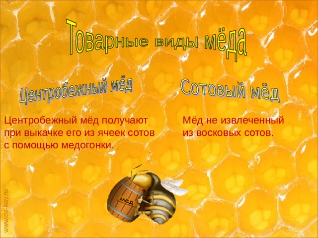 Центробежный мёд получают при выкачке его из ячеек сотов с помощью медогонки. Мёд не извлеченный из восковых сотов.