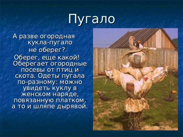 Пугало А разве огородная кукла-пугало   не оберег? Оберег, еще какой! Оберегает огородные посевы от птиц и скота. Одеты пугала по-разному: можно увидеть куклу в женском наряде, повязанную платком, а то и шляпе дырявой. 