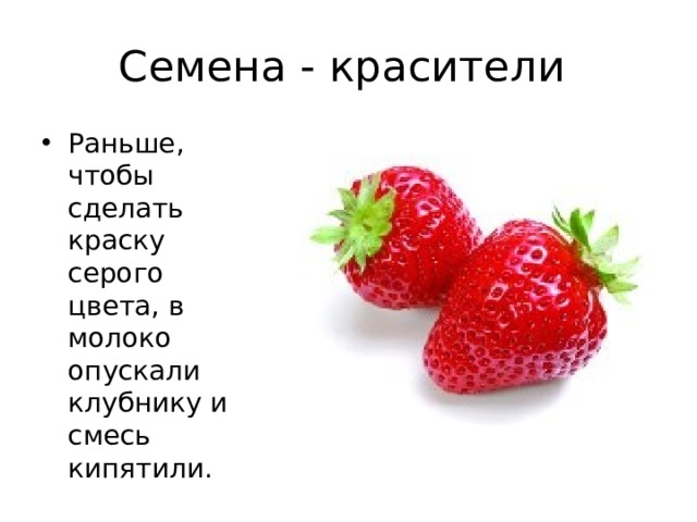 Семена - красители Раньше, чтобы сделать краску серого цвета, в молоко опускали клубнику и смесь кипятили. 