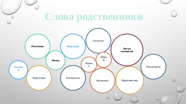 Слова родственники Салатик Растение Кушанье Латук посевной Овощ Обряд Рапунцель Намаз Гаспачо Портулак Эскариоль Однолетник Моление
