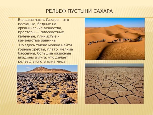 Рельеф пустыни Сахара   Большая часть Сахары – это песчаные, бедные на органические вещества, просторы — плоскостные галечные, глинистые и каменистые равнины.  Но здесь также можно найти горные хребты, плато, мелкие бассейны, большие оазисные впадины и луга, что делает рельеф этого уголка мира довольно нетипичным и разнообразным. 