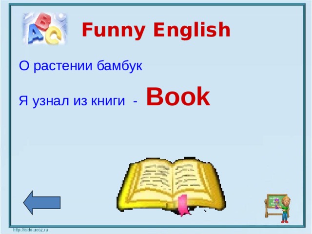Funny English О растении бамбук Я узнал из книги - Book