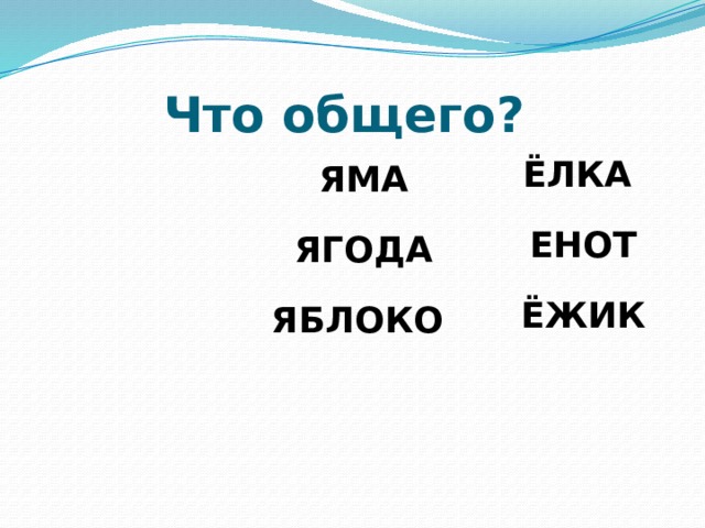 Что общего? ЁЛКА ЕНОТ ЁЖИК ЯМА ЯГОДА ЯБЛОКО  