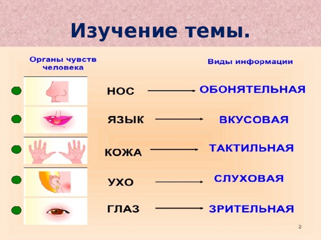 Что такое мотивация учебной деятельности по фгос. Смотреть фото Что такое мотивация учебной деятельности по фгос. Смотреть картинку Что такое мотивация учебной деятельности по фгос. Картинка про Что такое мотивация учебной деятельности по фгос. Фото Что такое мотивация учебной деятельности по фгос