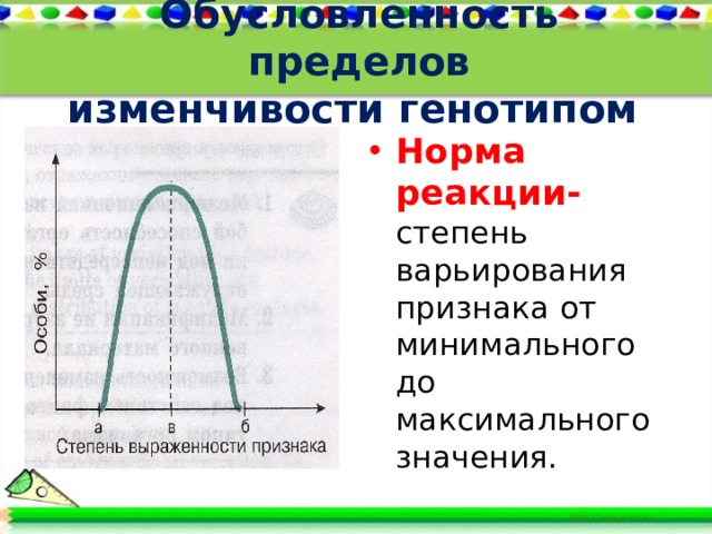 Норма реакции признака