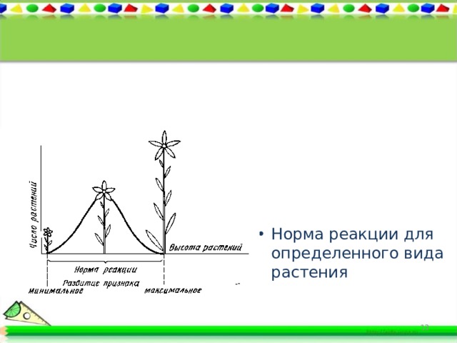 Норма реакции для определенного вида растения  