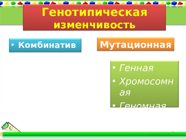 Генотипическая изменчивость Мутационная Комбинативная Генная Хромосомная Геномная  15 