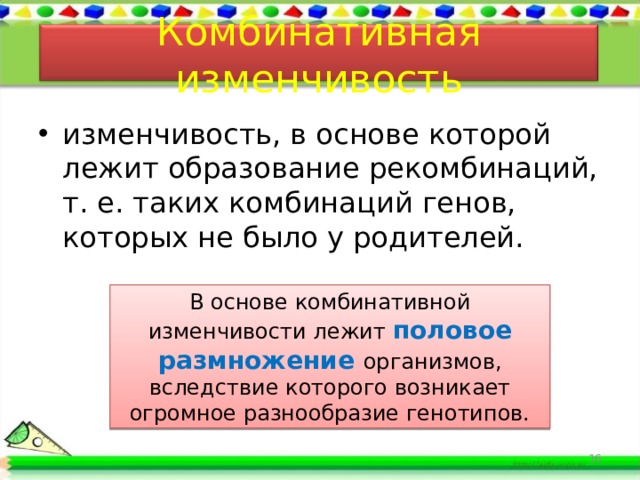 Комбинативная изменчивость 9 класс