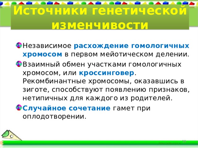 Источники генетической изменчивости Независимое расхождение гомологичных хромосом в первом мейотическом делении. Взаимный обмен участками гомологичных хромосом, или кроссинговер . Рекомбинантные хромосомы, оказавшись в зиготе, способствуют появлению признаков, нетипичных для каждого из родителей. Случайное сочетание гамет при оплодотворении.  