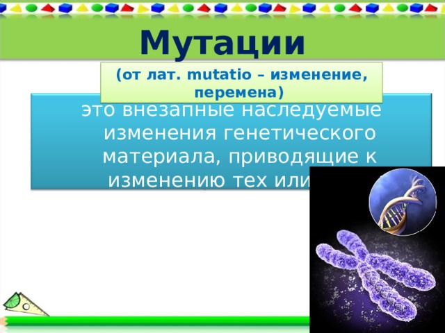 Мутации (от лат. mutatio – изменение, перемена) это внезапные наследуемые изменения генетического материала, приводящие к изменению тех или иных признаков организма.  