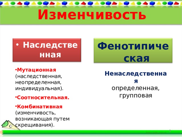 Презентация на тему фенотипическая изменчивость 9 класс