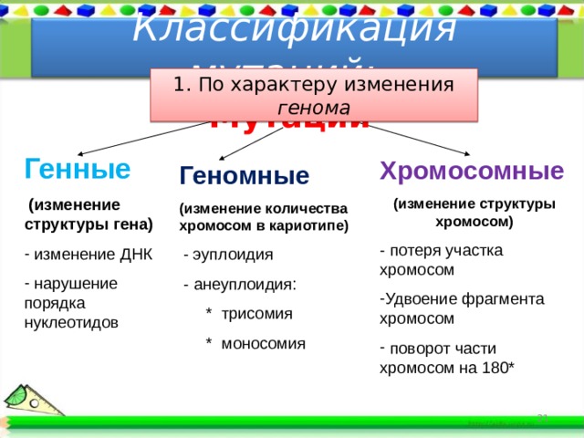 Классификация мутаций схема