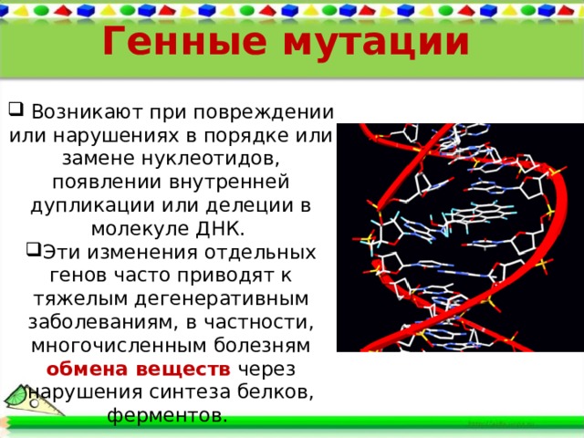 Генотипические мутации презентация 10 класс