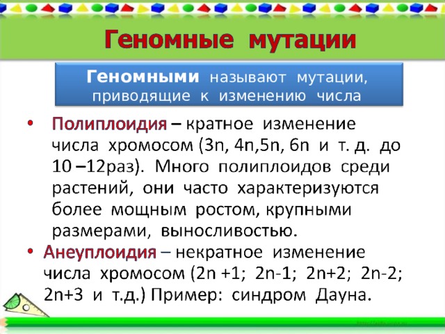 Геномными  называют мутации, приводящие к изменению числа хромосом. 