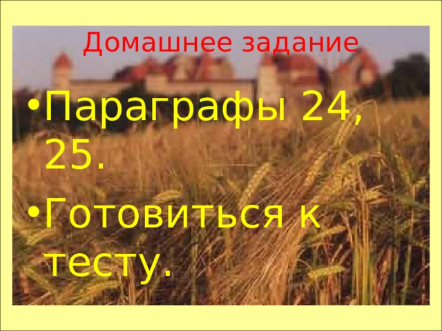 Домашнее задание Параграфы 24, 25. Готовиться к тесту. 