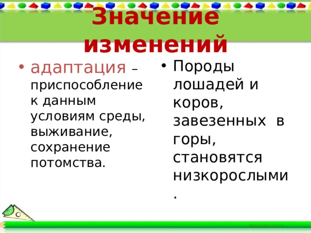 Значение изменений адаптация – приспособление к данным условиям среды, выживание, сохранение потомства. Породы лошадей и коров, завезенных в горы, становятся низкорослыми. 