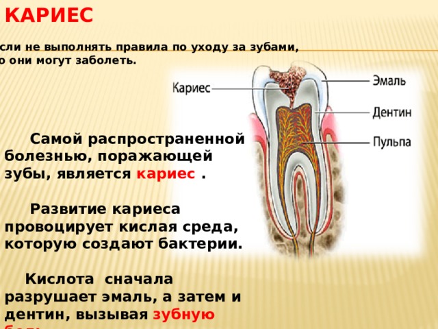 Влияние фтора на зубы презентация