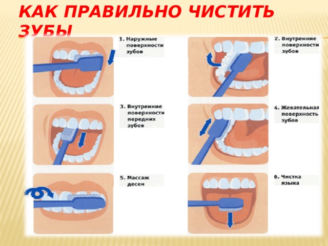 Как чистить зубы