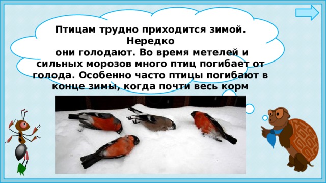 Птицам трудно приходится зимой. Нередко  они голодают. Во время метелей и сильных морозов много птиц погибает от голода. Особенно часто птицы погибают в конце зимы, когда почти весь корм повсюду съеден. 