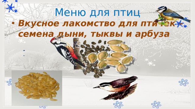 Меню для птиц         -   Вкусное лакомство для птичек – семена дыни, тыквы и арбуза 