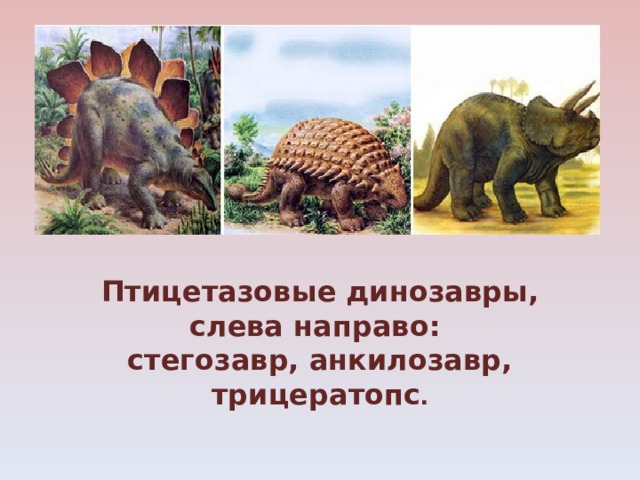 Птицетазовые динозавры, слева направо: стегозавр, анкилозавр, трицератопс . 
