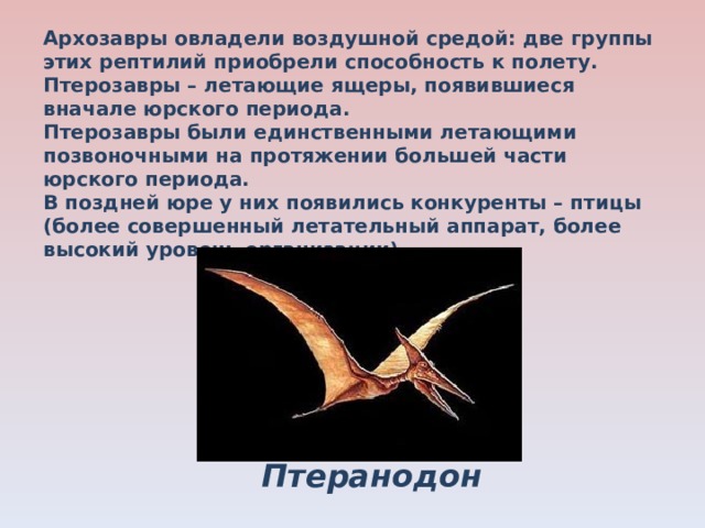 Архозавры овладели воздушной средой: две группы этих рептилий приобрели способность к полету. Птерозавры – летающие ящеры, появившиеся вначале юрского периода. Птерозавры были единственными летающими позвоночными на протяжении большей части юрского периода. В поздней юре у них появились конкуренты – птицы (более совершенный летательный аппарат, более высокий уровень организации). Птеранодон 
