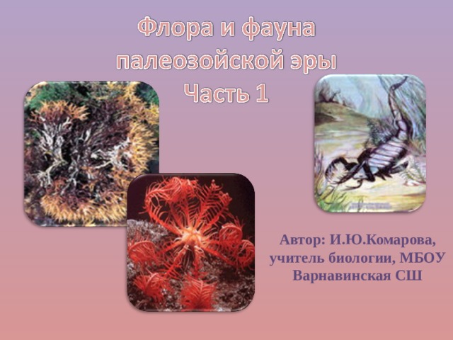 Автор: И.Ю.Комарова, учитель биологии, МБОУ Варнавинская СШ 