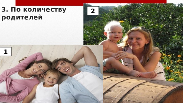 3. По количеству родителей 2 1 